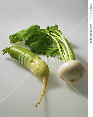 Kabura Blue core radish 29994109