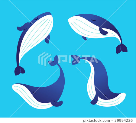 Whale - modern vector set of flat illustrations. - Stock Illustration ...