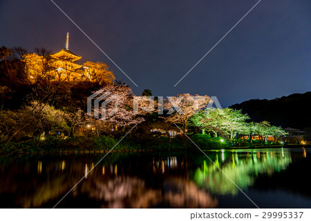 [神奈川]三景園的夜景 29995337