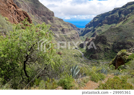 Landscape in Barranco de Guayadeque, Gran Canaria Landscape in Barranco de Guayadeque, Gran Canaria 29995361