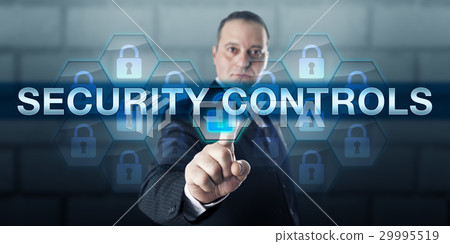 Information Manager Pressing SECURITY CONTROLS 29995519