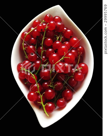 Red currants Red currants 29995769