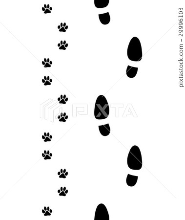 shoes and dog paws shoes and dog paws 29996103
