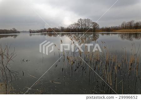 Grey spring evening. Grey spring evening. 29996652