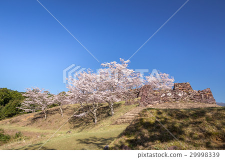 Akagi Castle Ruins of Spring Akagi Castle Ruins of Spring 29998339