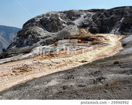 Mammoth Hot Springs 29998992