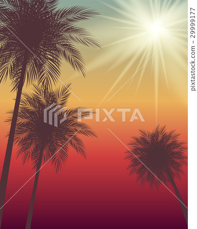 Summer Sale Background Vector Illustration 29999177