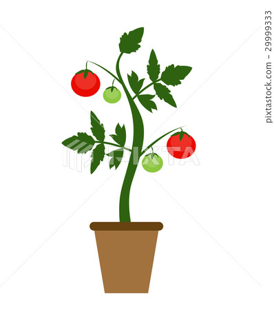 Garden Background Vector Illustration. Growing 29999333