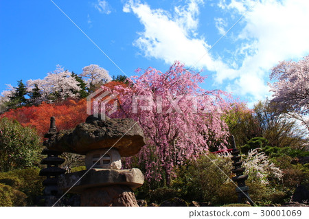 花山山公園 30001069