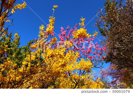 花山山公園 花山山公園 30001079