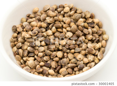 大麻種子（大麻果實）：大麻種子 30001405