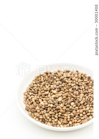 Hemp seed (hemp fruit): Hemp seeds 30001408