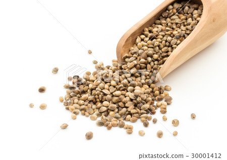 Hemp seed (hemp fruit): Hemp seeds 30001412