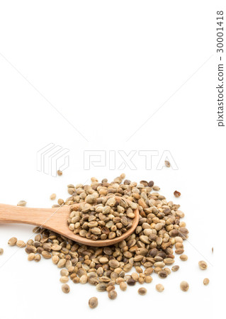 Hemp seed (hemp fruit): Hemp seeds Hemp seed (hemp fruit): Hemp seeds 30001418