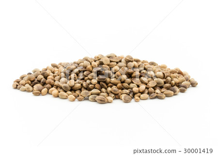 Hemp seed (hemp fruit): Hemp seeds Hemp seed (hemp fruit): Hemp seeds 30001419