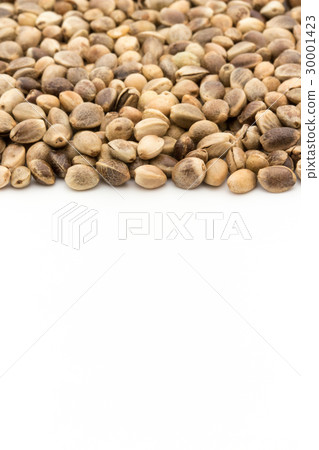 Hemp seed (hemp fruit): Hemp seeds Hemp seed (hemp fruit): Hemp seeds 30001423
