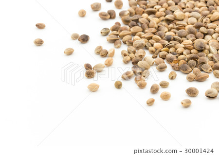 Hemp seed (hemp fruit): Hemp seeds Hemp seed (hemp fruit): Hemp seeds 30001424