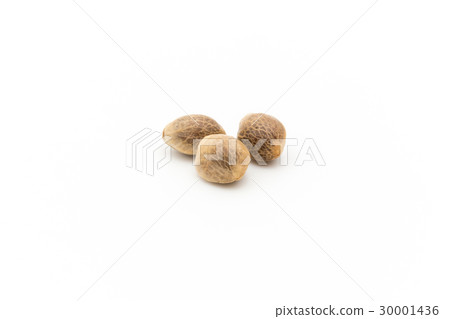Hemp seed (hemp fruit): Hemp seeds Hemp seed (hemp fruit): Hemp seeds 30001436