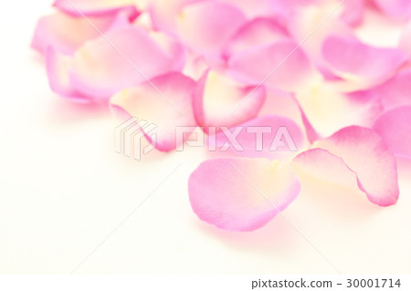 Rose petals 30001714