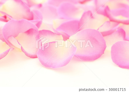 Rose petals 30001715