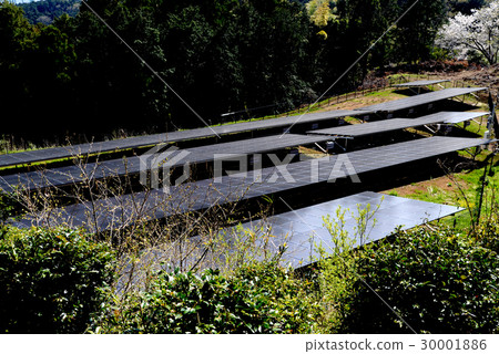 Solar panel 30001886