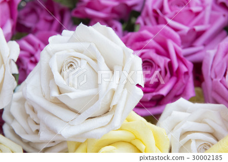 Close-up of the artificial white rose  30002185
