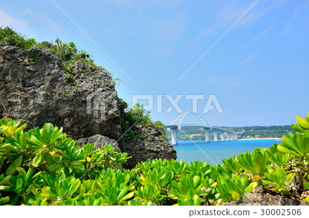 沖繩縣Sasegen Ohashi 30002506