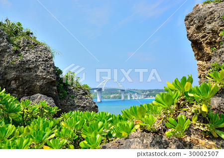 沖繩縣Sasegen Ohashi 30002507