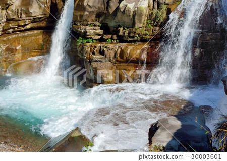 Taiwanese residence Shintake bamboo, Vinyu Yeisite head 30003601