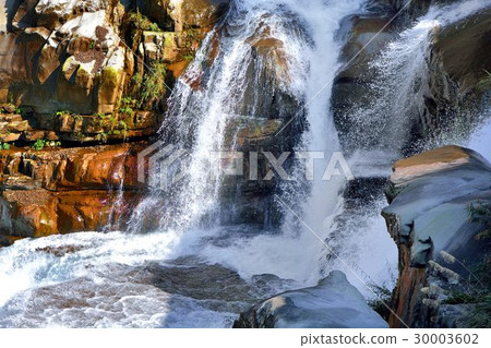 Taiwanese residence Shintake bamboo, Vinyu Yeisite head 30003602