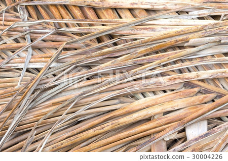 coconut leaf dried background 30004226