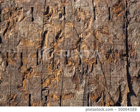 abstract wood texture from old house 30004389