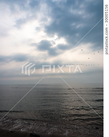 Evening seaside Evening seaside 30005156