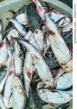Seafood product market in local fishery village 30005747
