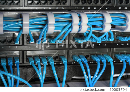 Server rack with blue internet patch cord cables 30005794