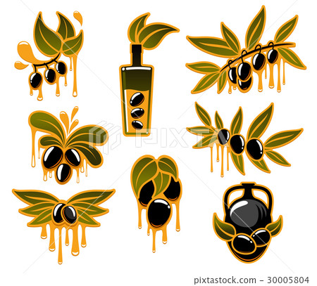 Vector olive icons for olive oil poducts 30005804