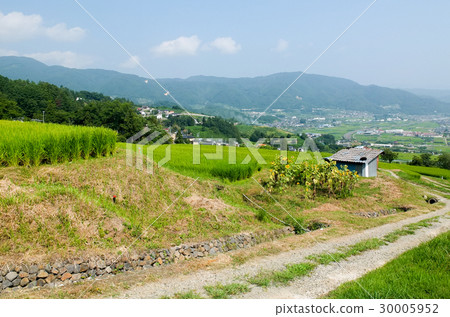 Abandoned rice terrace 30005952