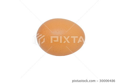 Egg on white background 30006486