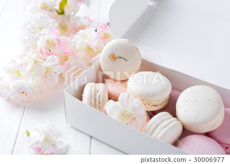 French pastel macarons 30006977