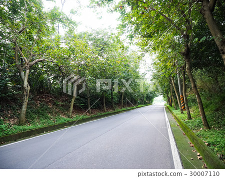 Country road 30007110