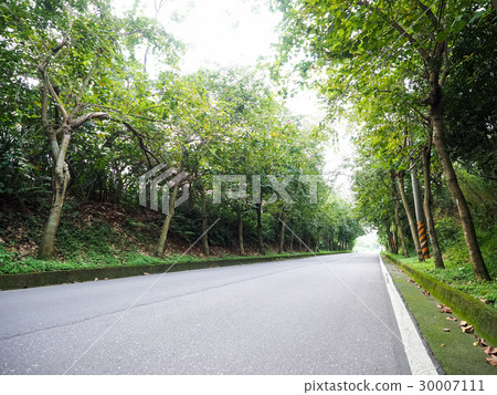 Country road 30007111
