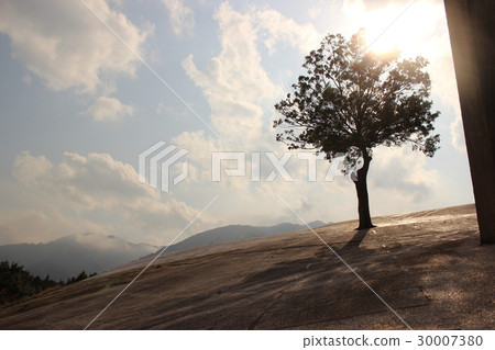 Earth and tree 30007380