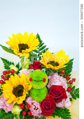 Arrangement of a frog 30007386