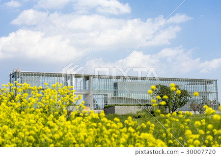 Kasai Rinkai Park水晶景觀 30007720