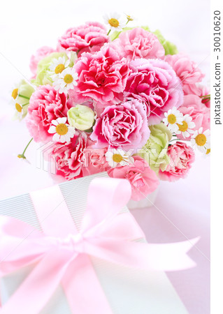 Carnation arrangement and gifts 30010620