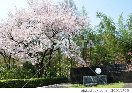 Shishimizu-mura Shishimizu-mura 30011739