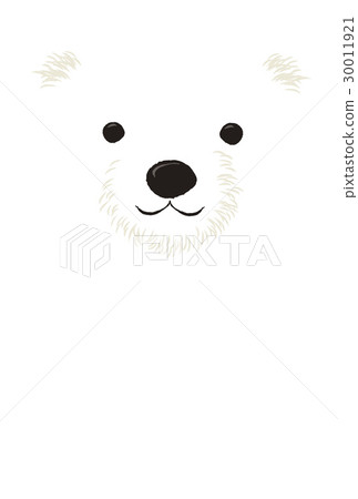 White bear face 30011921