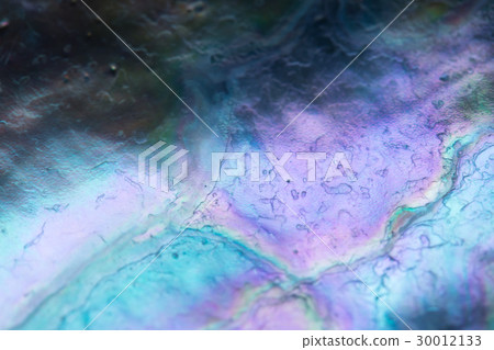 Structural color of shellfish 30012133