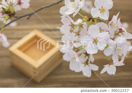 Cherry blossoms and sake brewing blur 30012257