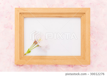 Flower and cherry blossom petals one side petal back 30012276